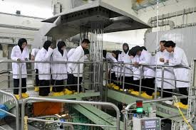 Berbagai Macam Energi dalam Kehidupan Sehari Hari yang Perlu Dipahami