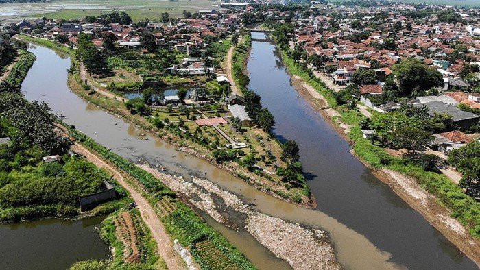 Peran Penting Sungai dalam Ekosistem dan Aktivitas Manusia