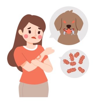 Fakta Penting: Apakah Orang yang Digigit Hewan Rabies Masih Bisa Sembuh?