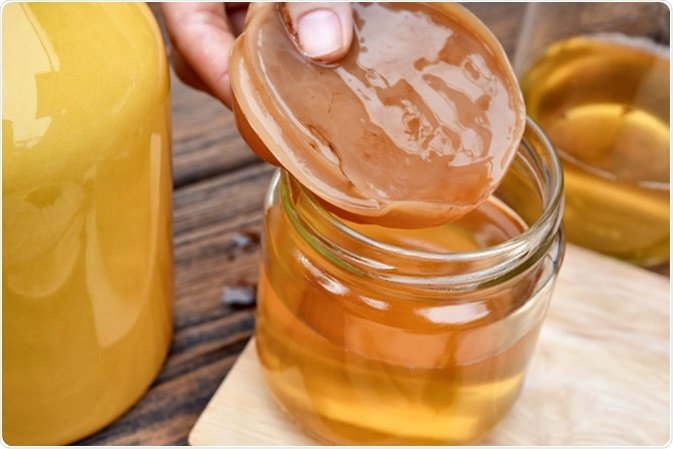 Jangan Asal Minum! Begini Cara Membedakan Kombucha yang Berhasil Fermentasi dan yang Sudah Gagal