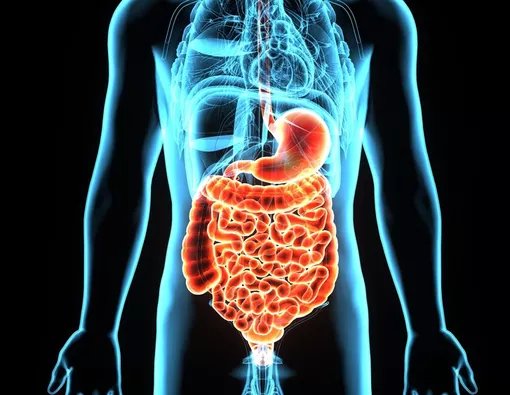 Jangan Dianggap Sepele, Bisa Jadi Ini Sinyal dari Tubuhmu!