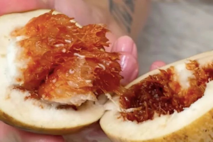 Tanpa Sengaja Makan Buah Berbelatung, Apakah Berbahaya bagi Tubuh? Ini Penjelasan Lengkapnya!