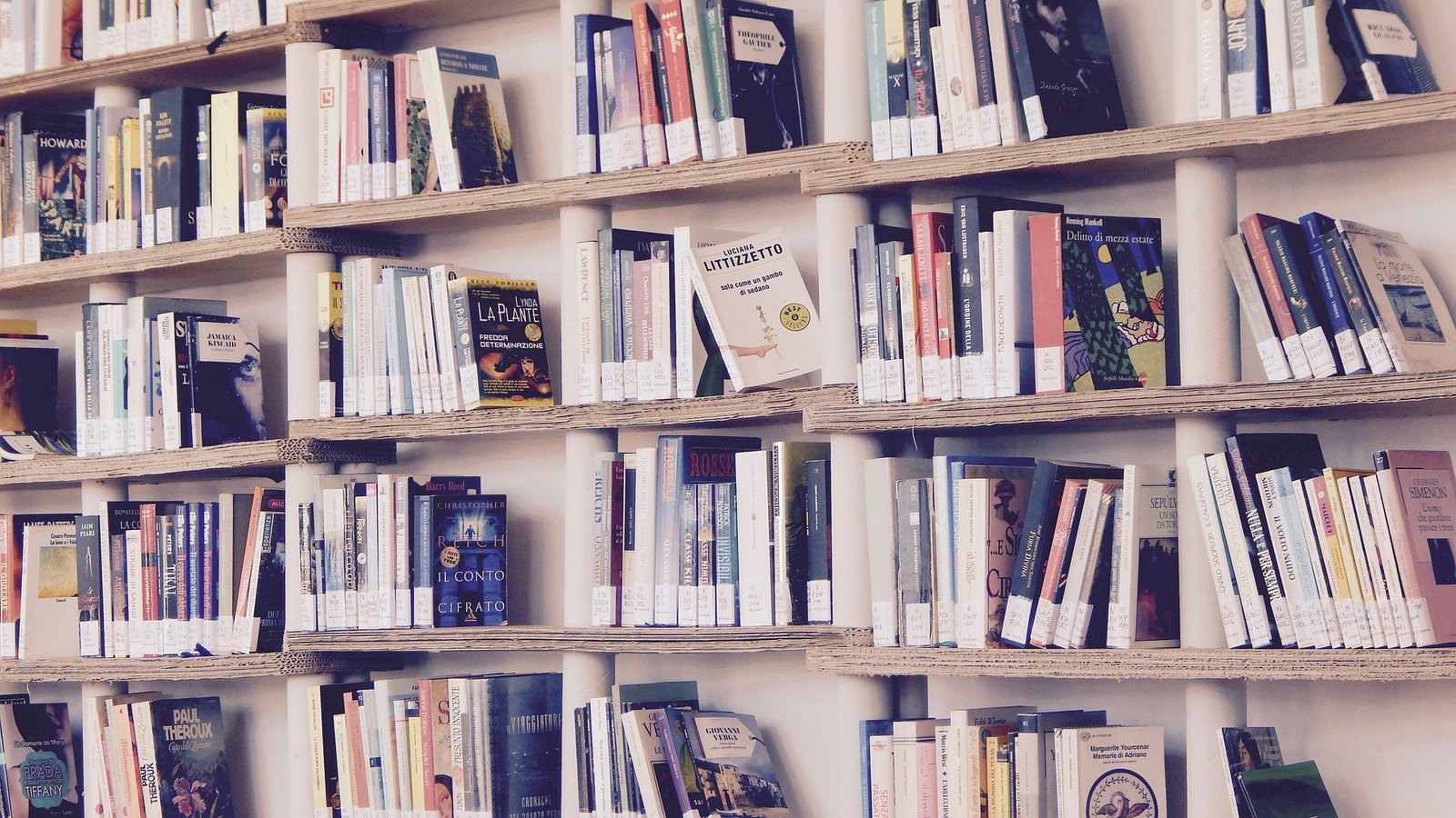 Di Balik Rak-Rak Buku: Mengapa Perpustakaan Selalu Menjadi Tanda Majunya Sebuah Peradaban?