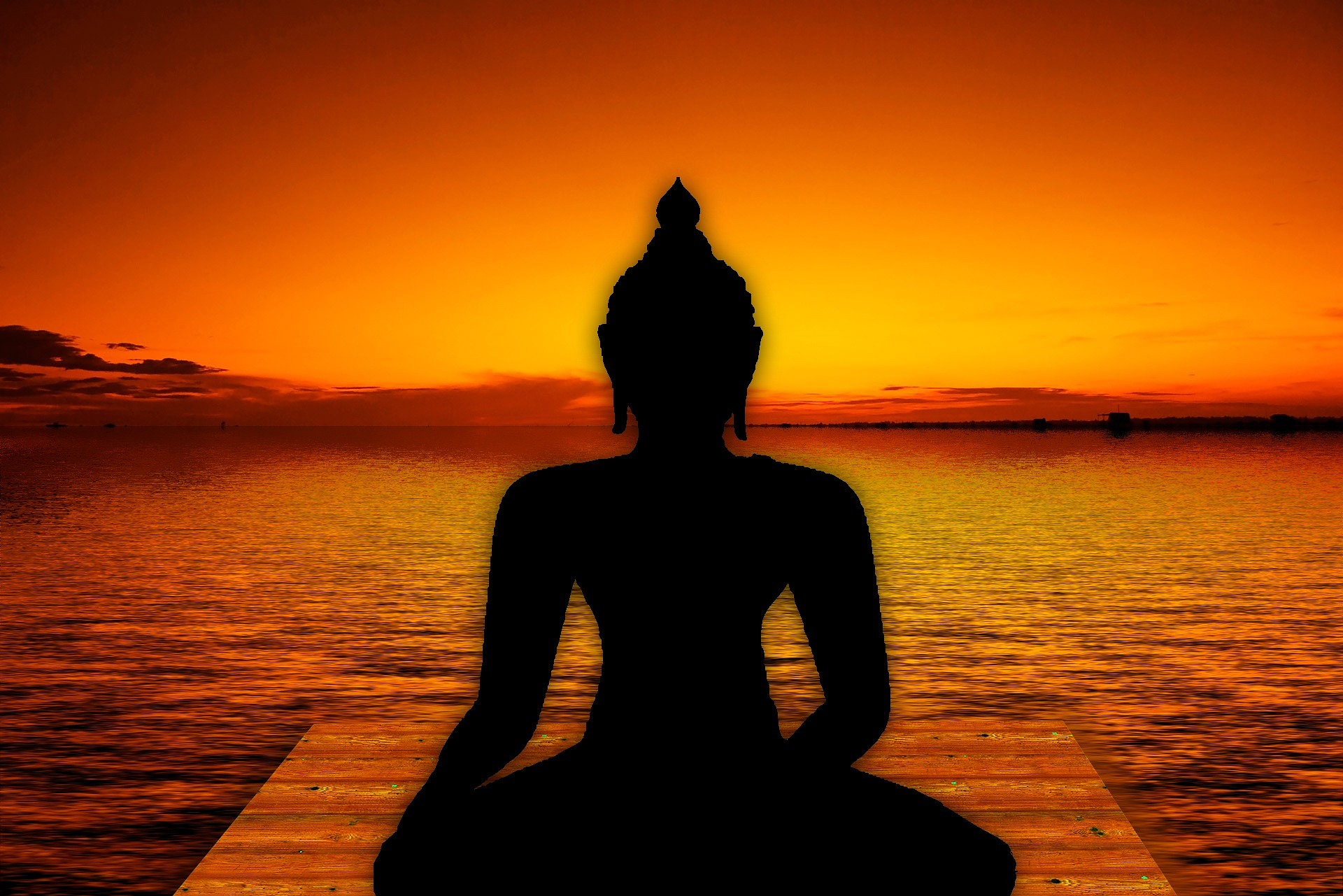 Mono no Aware: Keindahan yang Lahir dari Kesadaran bahwa Segalanya Akan Berlalu