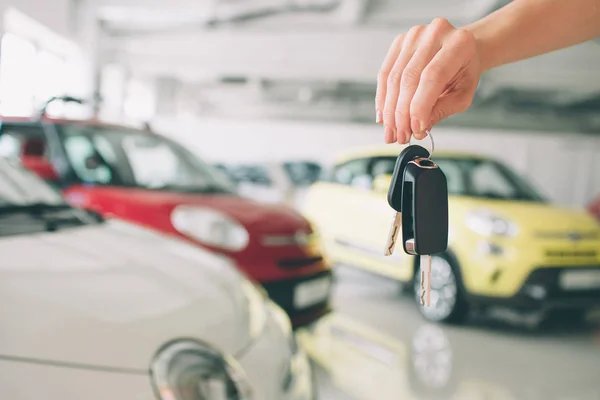 Mobil Keluarga Bekas Harga Rp80 Jutaan, Apa Saja yang Perlu di Perhatikan?