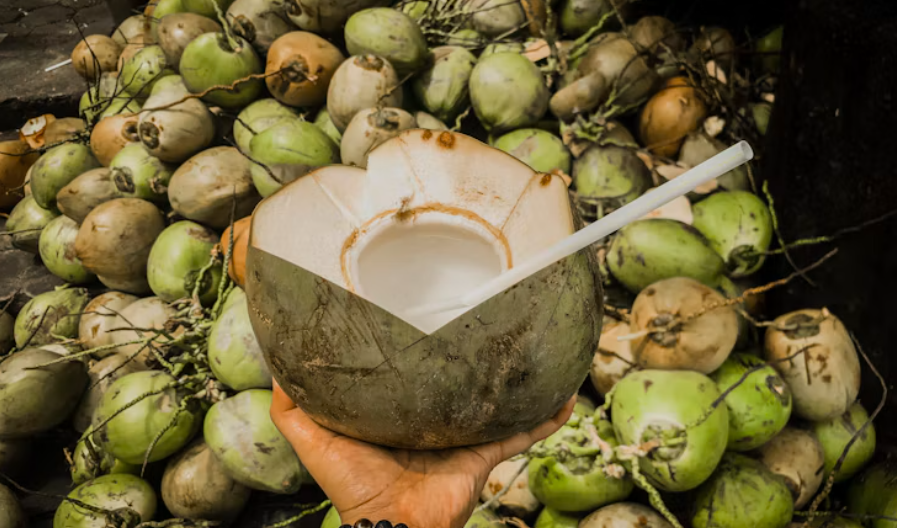 Bolehkah Minum Air Kelapa Setiap Hari? Ini 5 Manfaat dan Hal yang Perlu Diwaspadai