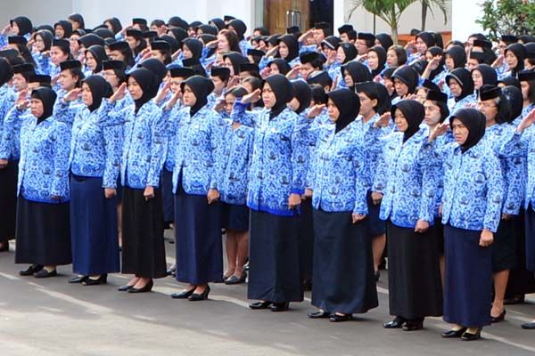 Dari Usulan Instansi hingga Pengangkatan, Begini Alur Perubahan Status PPPK Paruh Waktu
