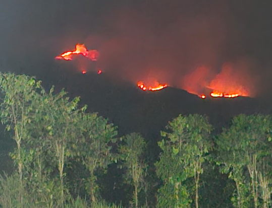 Kabut Asap Karhutla Memburuk, Pemkot Palu Perpanjang Sekolah Daring Mulai 26 Oktober 2026