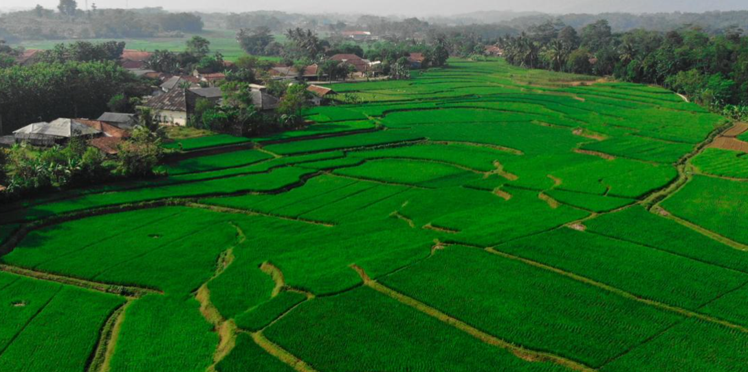 Pemkab Majalengka Siapkan Bantuan Irigasi Rp13 Miliar di 80 Titik, Targetkan Petani Bisa Tanam Tiga Kali Setahun