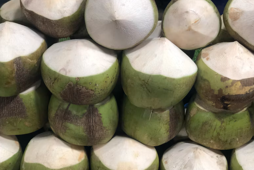 Kelapa Hijau Bukan Sekadar Pelepas Dahaga, Ini Kandungan Nutrisi dan Manfaatnya bagi Tubuh